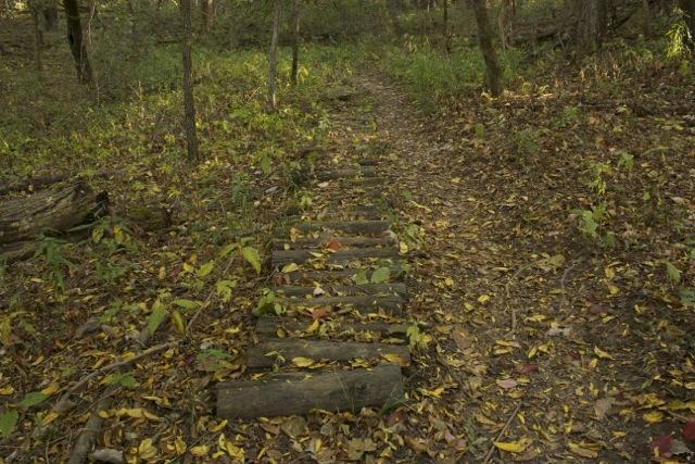 A narrow dirt path lined with wooden planks, surrounded by fallen leaves and greenery in a wooded area. Opossum Hollow mountain bike trail.