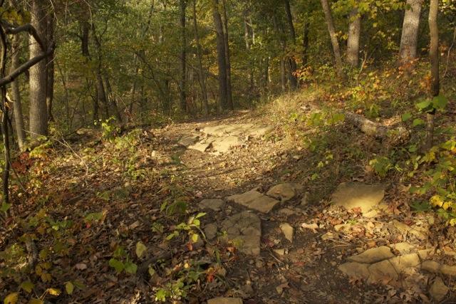 A winding, rocky trail meanders through a lush forest, with trees in various shades of green and hints of autumn hues. Fallen leaves and small plants line the path, creating a natural and serene atmosphere. Opossum Hollow mountain bike trail.