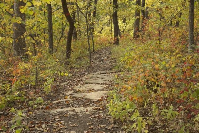 A winding stone path through a forest area with trees displaying autumn foliage in shades of yellow, orange, and green. The ground is covered with fallen leaves, and the atmosphere is serene and inviting for a nature walk. Opossum Hollow mountain bike trail.