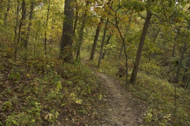 A winding dirt path through a wooded area, surrounded by trees with green and yellow leaves, indicative of early autumn. The scene conveys a sense of tranquility and nature. Opossum Hollow mountain bike trail.