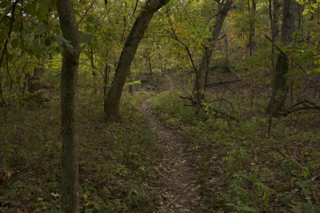 A winding dirt path through a wooded area, surrounded by trees with green leaves and patches of fallen leaves on the ground, creating a serene and natural atmosphere. Opossum Hollow mountain bike trail.