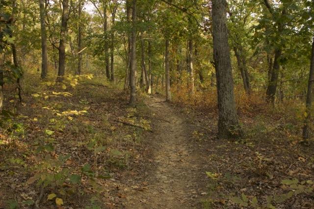 A winding dirt path through a serene forest of trees with green and yellow leaves, set against a backdrop of autumn foliage. The trail is surrounded by earthy tones of fallen leaves and underbrush, creating a peaceful natural environment. Opossum Hollow mountain bike trail.
