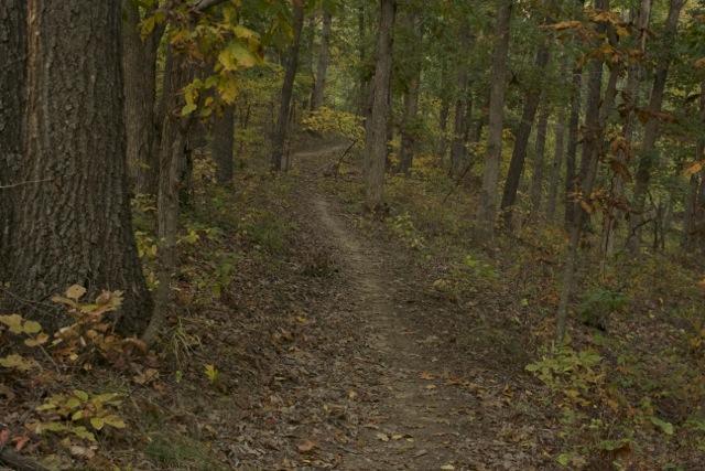 A narrow dirt trail winding through a wooded area with trees and foliage, surrounded by fallen leaves in autumn colors. Opossum Hollow mountain bike trail.