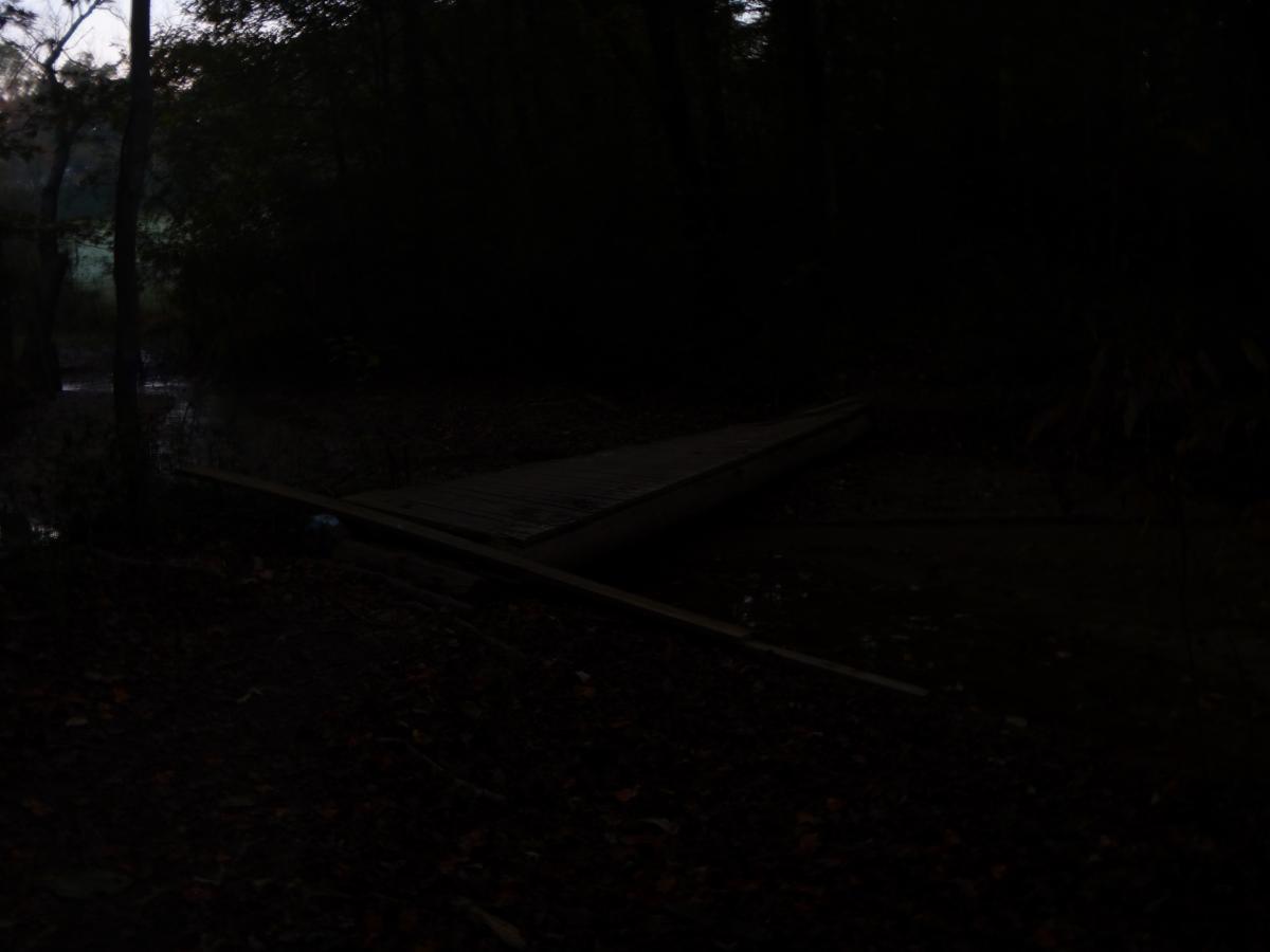 A dimly lit forest scene featuring a wooden bridge crossing a narrow, murky stream. The surroundings are dark with shadows from trees, and some foliage can be seen on the ground, indicating it's likely autumn. The overall atmosphere is tranquil and slightly mysterious. Charleston Park mountain bike trail.