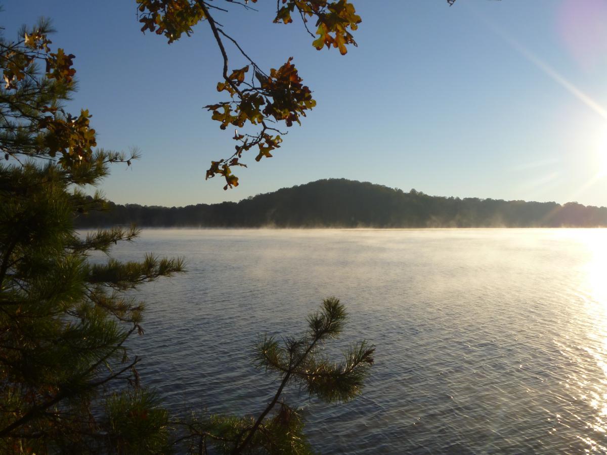 A serene early morning view of a lake surrounded by forests, with soft mist rising from the water. Sunlight filters through trees in the foreground, illuminating the scene and creating a peaceful atmosphere. The sky is clear with a gradient of colors as the day begins. Charleston Park mountain bike trail.