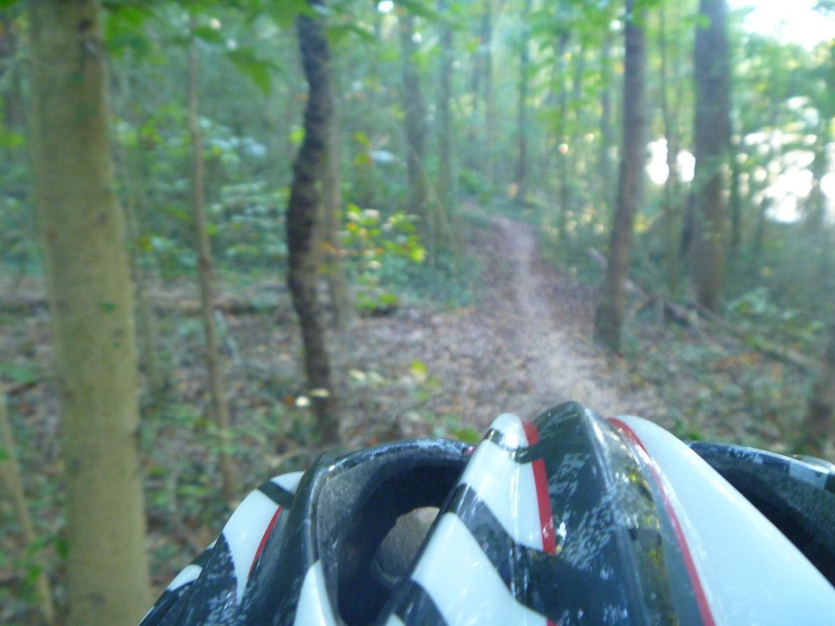 A view from the perspective of a cyclist wearing a helmet, looking down a dirt trail winding through a lush forest with trees on either side. The scene captures the natural surroundings, with dappled sunlight filtering through the leaves. Charleston Park mountain bike trail.