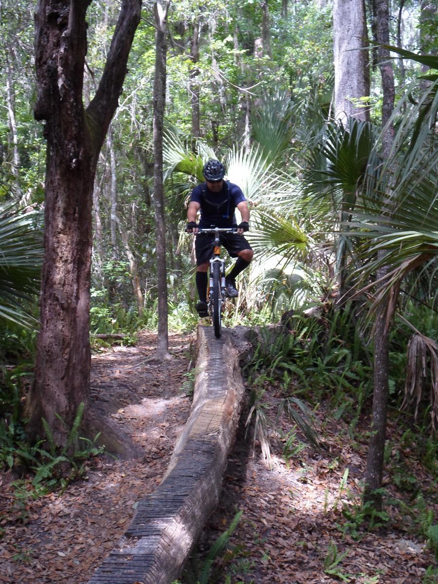 A mountain biker navigating a narrow log bridge in a dense, lush forest. The cyclist is wearing a helmet and biking gear, focused on maintaining balance while riding through the scenic trail surrounded by ferns and tall trees. Chuck Lennon Park mountain bike trail.