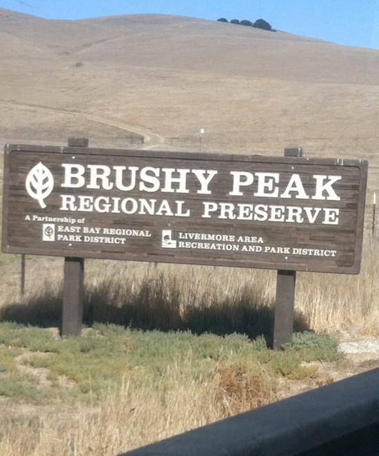 Wooden sign for Brushy Peak Regional Preserve, featuring the preserve name in large white letters along with partnership details from the East Bay Regional Park District and Livermore Area Recreation and Park District, set against a backdrop of rolling hills and grassland. Brushy Peak Regional Preserve mountain bike trail.