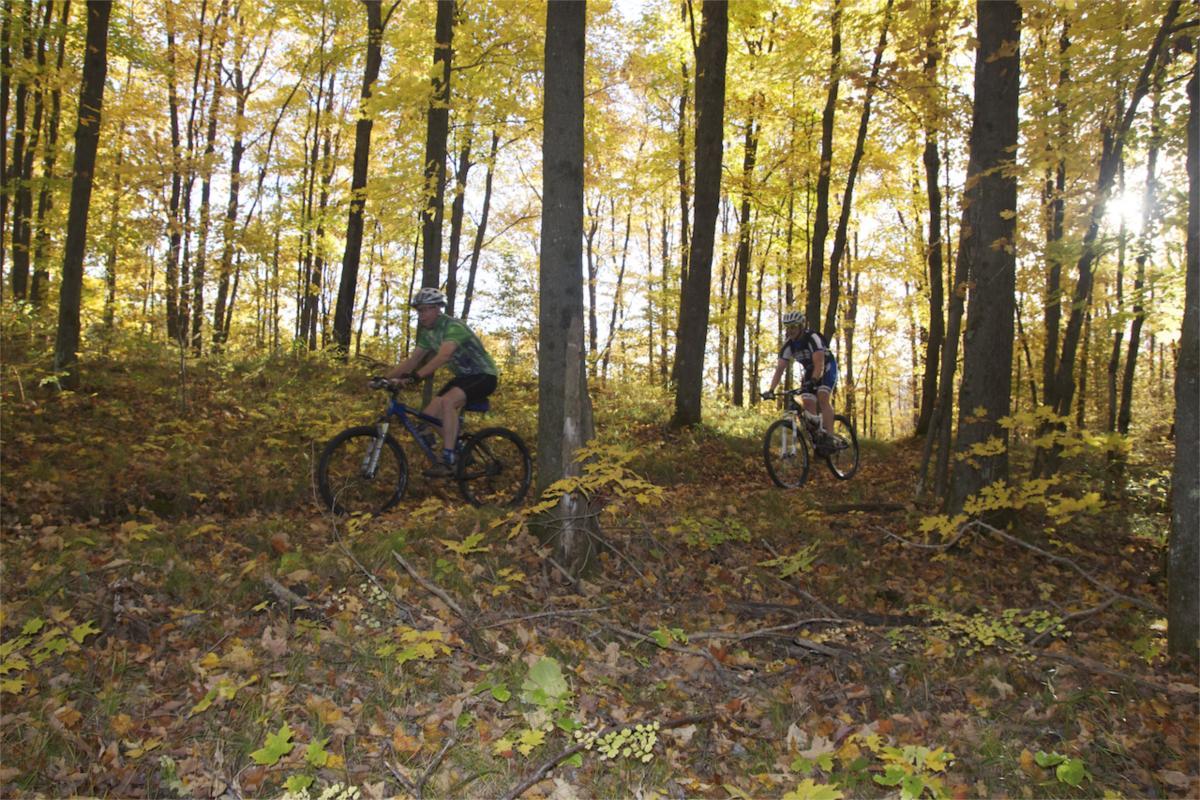 Two mountain bikers riding through a forest with vibrant autumn foliage. The scene is filled with yellow and orange leaves, and sunlight filters through the trees, creating a warm, natural atmosphere. Makwa Trail mountain bike trail.