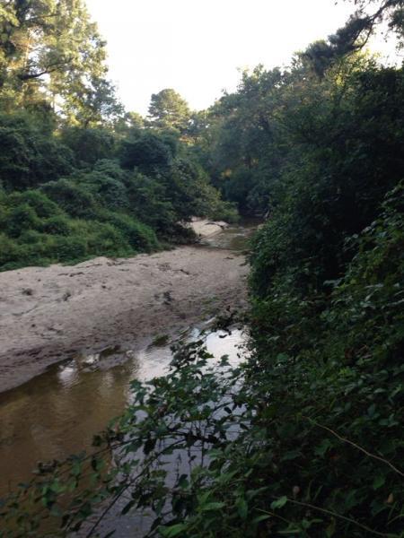 A serene view of a narrow riverbank surrounded by lush greenery. The calm water reflects the trees and shrubs along its edges, while a sandy bank is visible, indicating a low water level. The landscape is rich with foliage, suggesting a peaceful natural setting. Morningside Nature Preserve mountain bike trail.