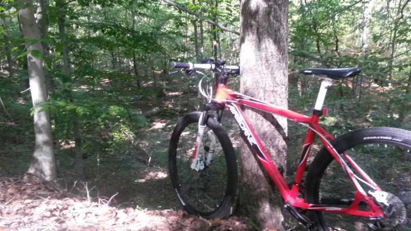 A red mountain bike leaning against a tree in a lush green forest, with sunlight filtering through the leaves and a dirt path visible in the background. Angler's Ridge mountain bike trail.