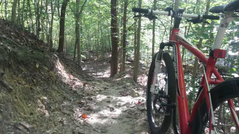 A mountain bike positioned on a narrow, sandy trail winding through a lush forest. Tall green trees surround the path, creating a shaded and tranquil atmosphere. The ground is uneven with patches of exposed soil and fallen leaves, indicating a natural, outdoor biking environment. Angler's Ridge mountain bike trail.