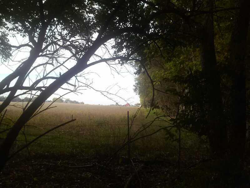 A view of a tranquil rural landscape framed by trees, showing a grassy field in the distance, partially obscured by branches. A fence can be seen separating the field from the wooded area. The sky appears overcast, adding a serene atmosphere to the scene. John Bryan State Park mountain bike trail.