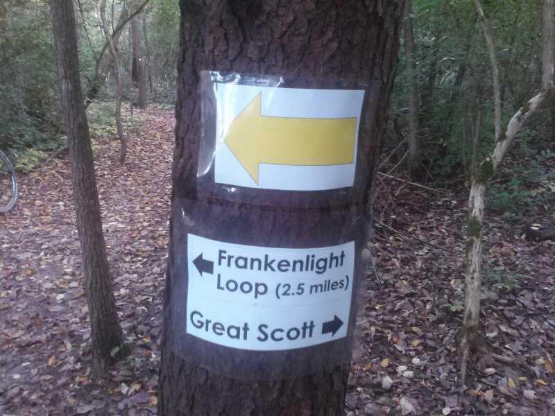 Signpost on a tree in a wooded area, indicating trail directions. The top sign has a large yellow arrow pointing left, while the lower sign lists two trail options: "Frankenlight Loop (2.5 miles)" with arrows pointing left and "Great Scott" with an arrow pointing right. Surrounding foliage and forest floor covered with fallen leaves are visible. John Bryan State Park mountain bike trail.