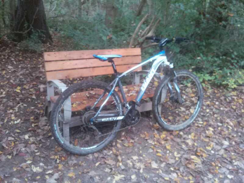 A mountain bike leaning against a wooden bench in a forested area, surrounded by fallen leaves. John Bryan State Park mountain bike trail.