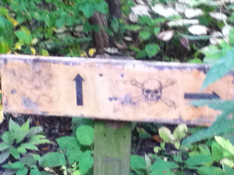 Wooden sign in a forest with an arrow pointing upward and a skull-and-crossbones symbol on the right side, indicating a warning. The sign shows signs of weathering and is surrounded by foliage. Frick Park mountain bike trail.