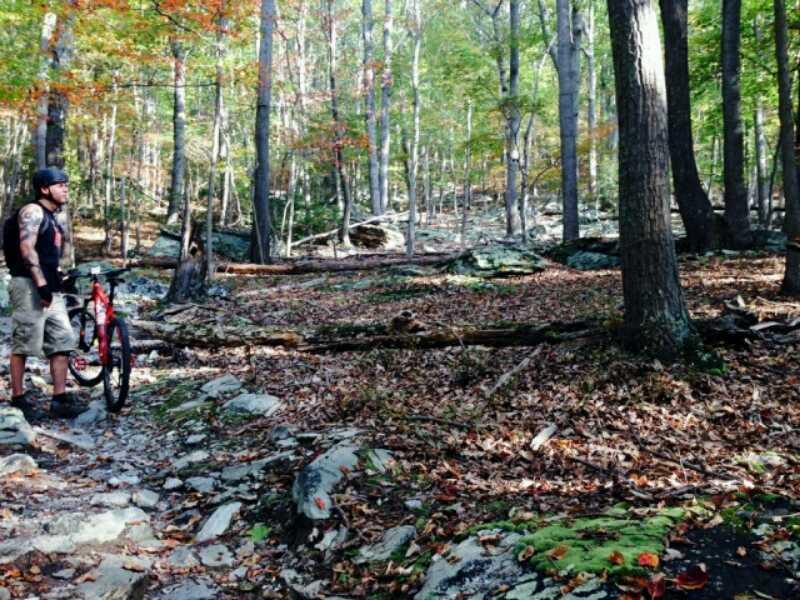 A person stands beside a mountain bike on a rocky trail in a wooded area. The surrounding forest features tall trees with colorful autumn leaves, and the ground is covered in fallen leaves and small rocks. Sunlight filters through the trees, illuminating the path ahead. Gambrill State Park mountain bike trail.