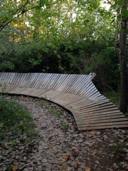 A curved wooden pathway meanders through a natural landscape, surrounded by greenery and scattered leaves on the ground. The path is made of planks arranged in a wave-like pattern, leading toward the dense foliage. Town Run Trail Park mountain bike trail.