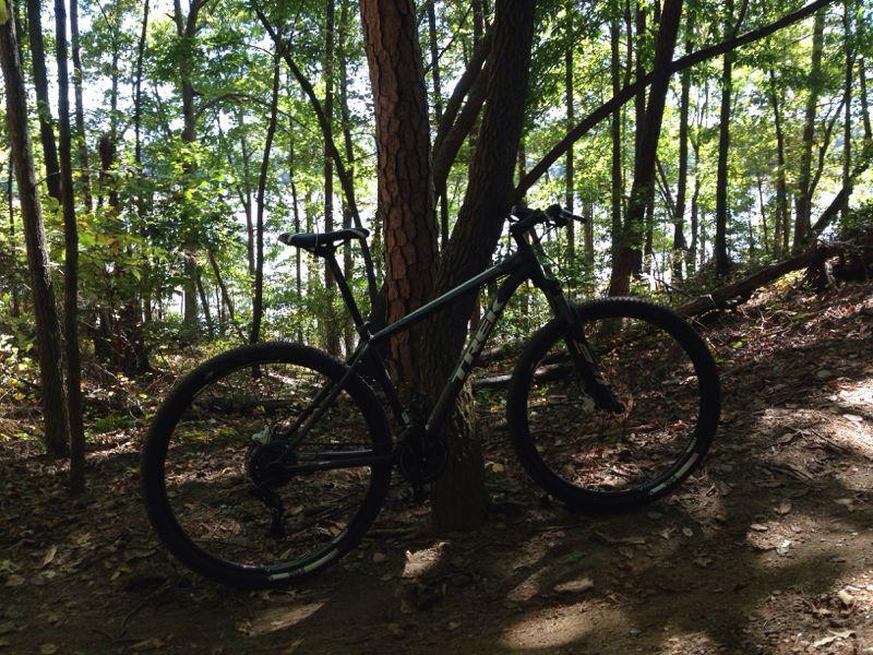 A mountain bike resting against a tree surrounded by lush greenery in a forested area. Sunlight filters through the leaves, illuminating the bike and the ground covered in fallen leaves and twigs. Blankets Creek mountain bike trail.