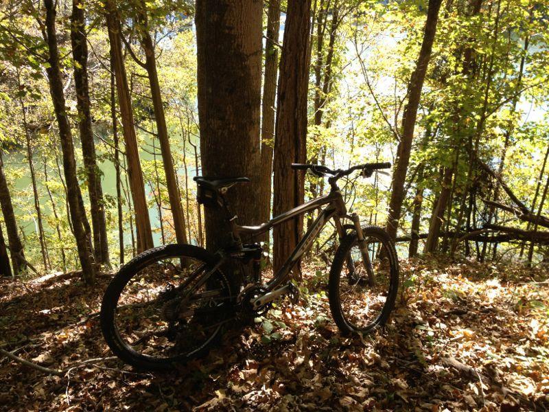 A mountain bike resting against a tree in a forest setting, surrounded by fallen leaves and vibrant autumn foliage, with a glimpse of a serene lake in the background. Warriors' Path State Park mountain bike trail.
