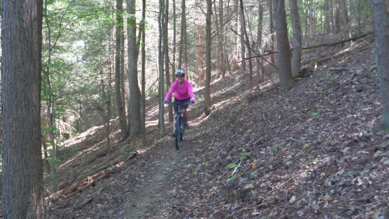 A person riding a mountain bike on a narrow trail surrounded by trees, wearing a pink long-sleeve shirt and a helmet. The forest is lush, with sunlight filtering through the leaves, and the ground is covered in fallen leaves and small plants. Chestnut Mountain Loop mountain bike trail.