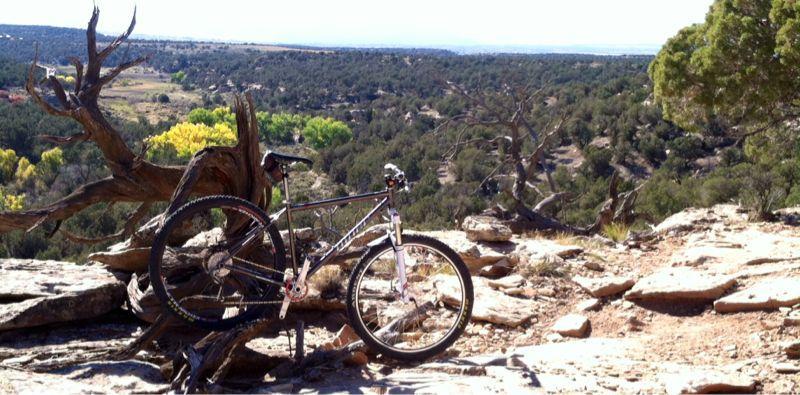 A mountain bike propped against a gnarled tree on a rocky outcrop, overlooking a scenic landscape of rolling hills and greenery in the distance under a clear blue sky. Phil's World mountain bike trail.