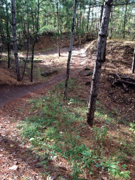 A wooded path in a forested area, featuring a winding trail surrounded by trees. The ground is covered in fallen leaves and patches of greenery, with sunlight filtering through the branches above. Cuyuna Lakes mountain bike trail.