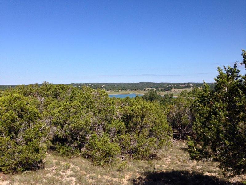 A scenic view of a green landscape featuring shrubs and trees, overlooking a calm lake with a clear blue sky above. The distant hills create a tranquil backdrop. Madrone Trail mountain bike trail.