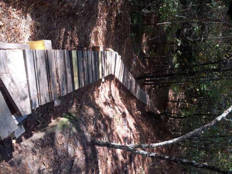 A wooden boardwalk winding through a forested area, surrounded by fallen leaves and trees. The path curves gently out of view, inviting exploration amidst the natural setting. Boyd Pond mountain bike trail.