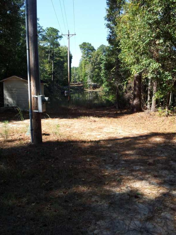 A dirt path leading through trees, with a power pole and utility box on the left. In the background, a glimpse of water can be seen, surrounded by greenery and additional trees. Bright blue sky overhead. Boyd Pond mountain bike trail.