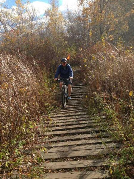 A person riding a mountain bike on a wooden path surrounded by tall grass and autumn foliage. The scene features a clear blue sky and colorful leaves, indicating a fall setting. Needham Town Forest mountain bike trail.