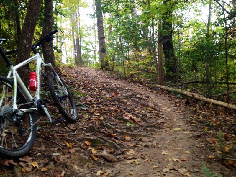 A white mountain bike resting on a dirt path surrounded by trees with autumn leaves scattered on the ground. The trail curves gently upward, leading into a lush green forest. Governor's Creek mountain bike trail.