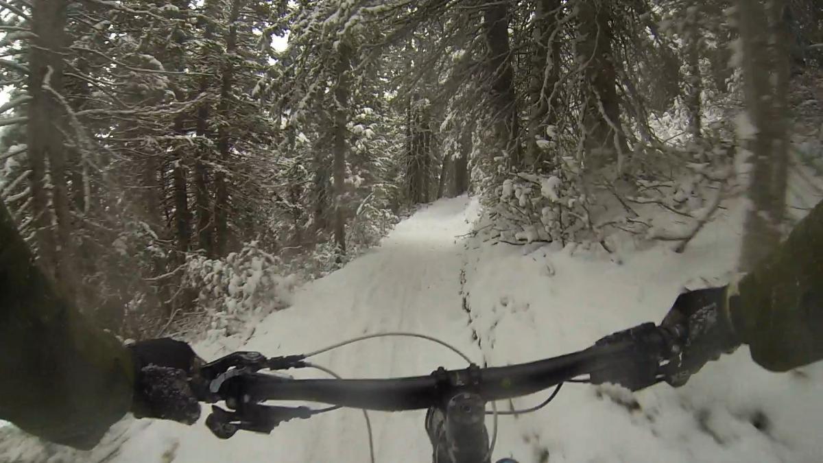 A person biking on a snow-covered trail surrounded by trees in a winter landscape. The image captures the handlebars of the bike and the snowy path ahead. Pinecone Ridge mountain bike trail.