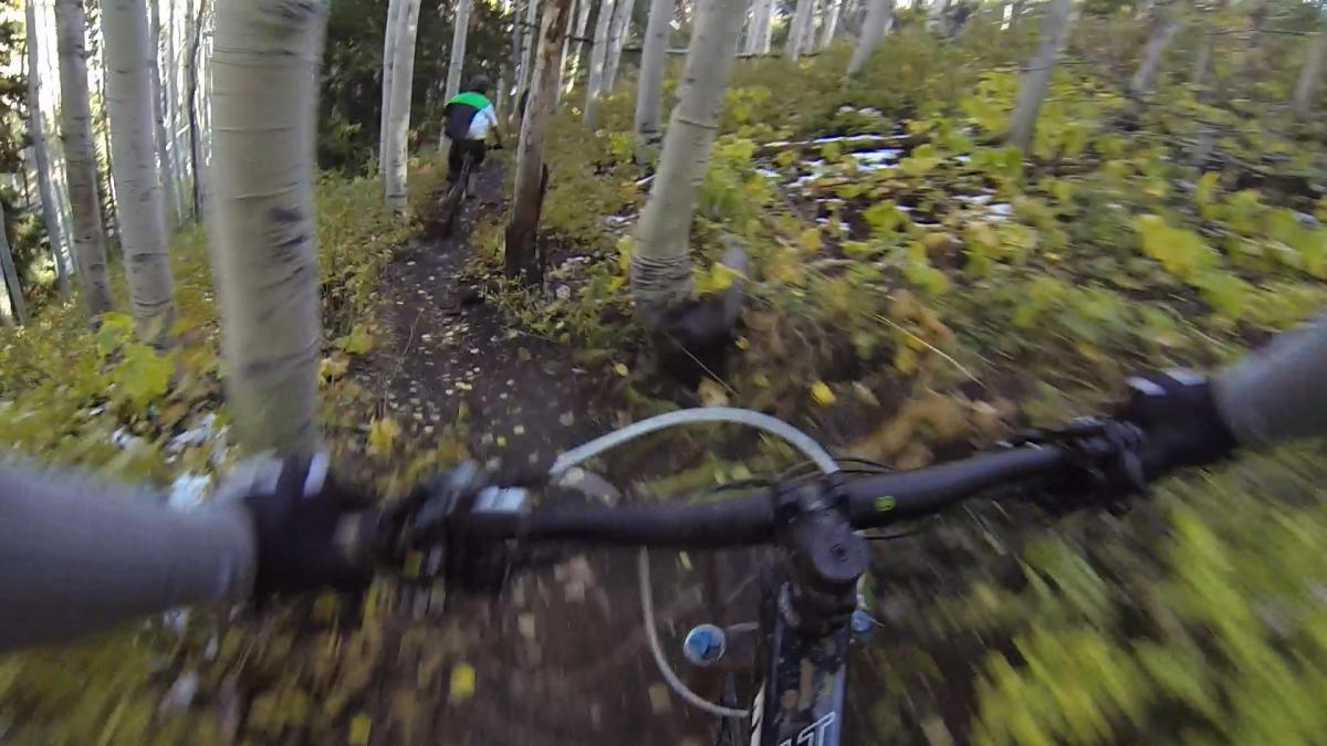 A mountain biker navigates a narrow, wooded trail surrounded by tall aspen trees and colorful autumn foliage. The handlebars are in focus, with the cyclist in the background, creating a sense of motion and adventure. Moosehouse mountain bike trail.