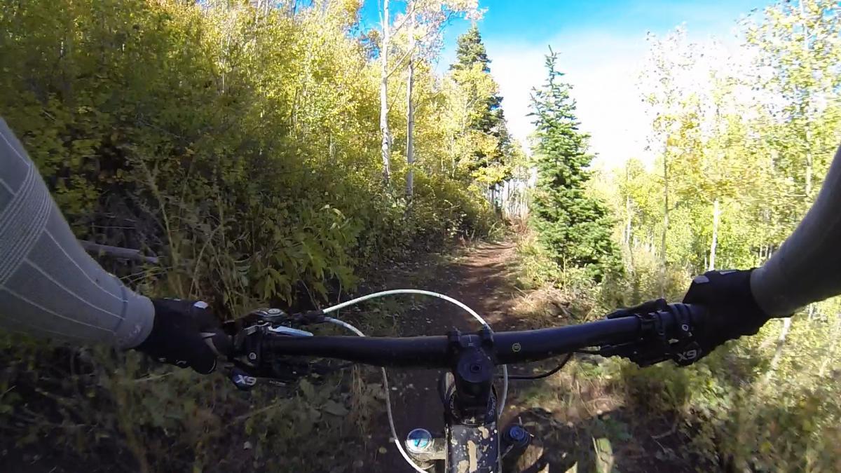 A view from the handlebars of a mountain bike navigating a dirt trail surrounded by colorful autumn foliage and trees under a clear blue sky. Park City Mountain Resort (PCMR) mountain bike trail.