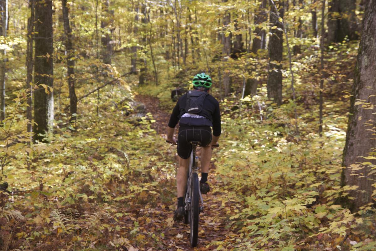A cyclist riding a mountain bike along a narrow trail in a vibrant forest during autumn, surrounded by trees with golden and orange leaves. Rock Lake mountain bike trail.