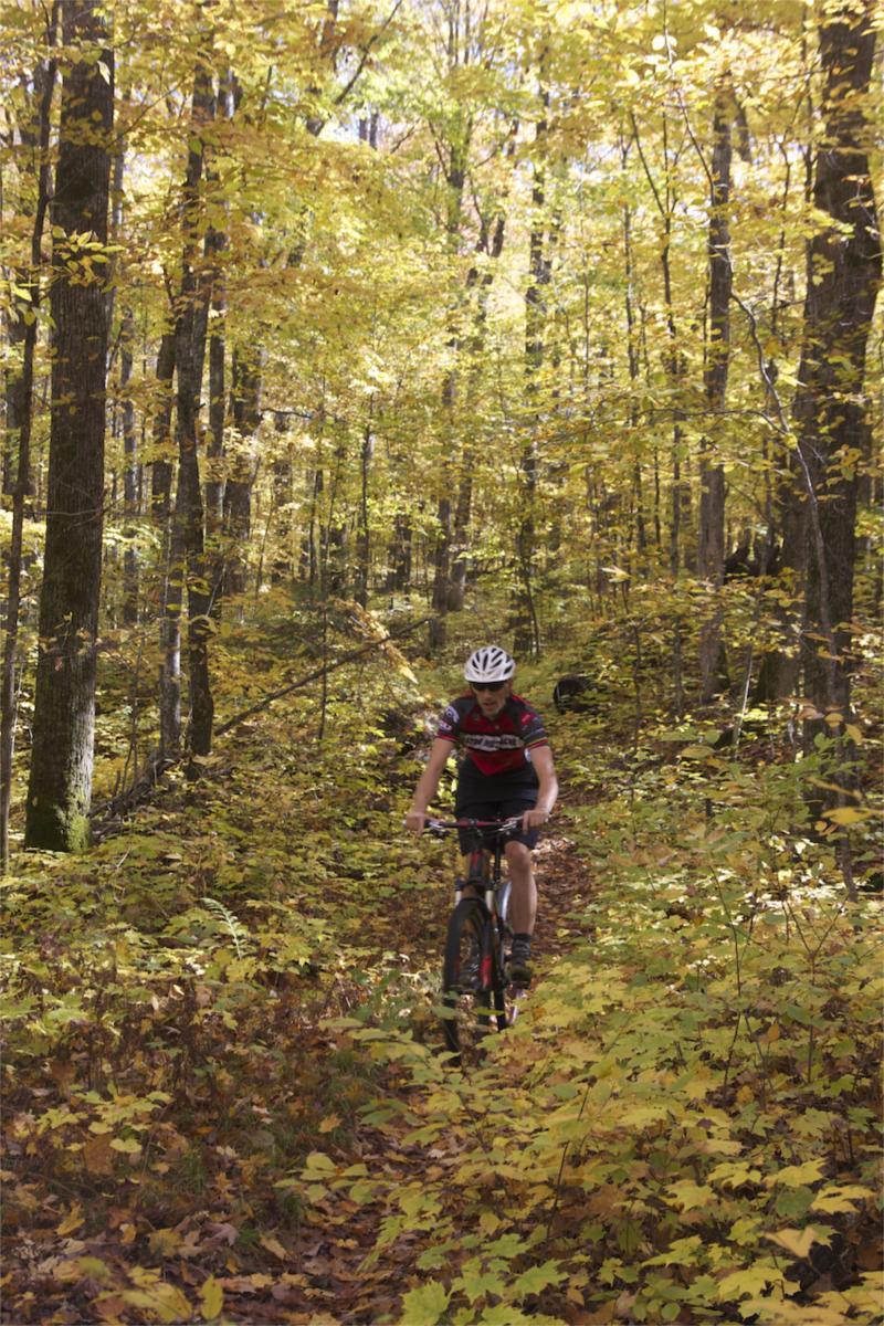 A person riding a mountain bike on a wooded trail surrounded by trees with golden autumn leaves. Rock Lake mountain bike trail.