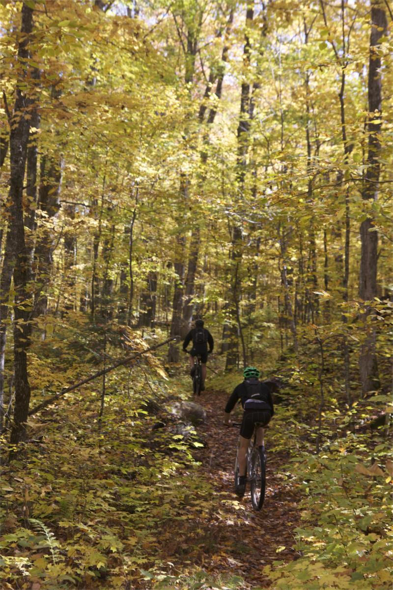 Two mountain bikers riding along a narrow, winding trail through a dense forest filled with vibrant autumn foliage. The scene is illuminated by soft sunlight filtering through the trees, highlighting shades of yellow, orange, and green leaves covering the ground. Rock Lake mountain bike trail.