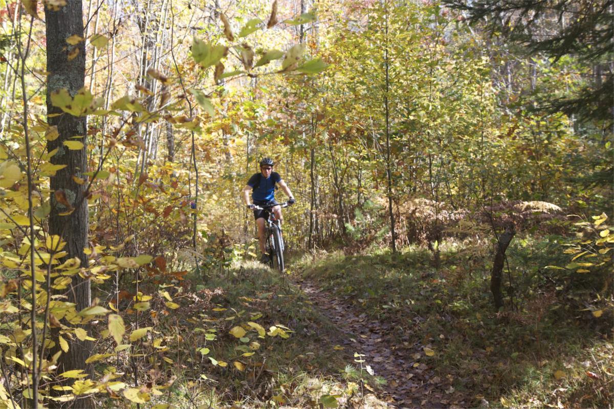 A person riding a mountain bike on a narrow trail surrounded by trees with autumn foliage, showcasing vibrant shades of yellow and orange. The scene captures the beauty of nature in a forest setting. Rock Lake mountain bike trail.