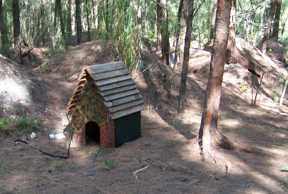 A small wooden dog house with a slanted roof and decorative designs is situated in a forested area. The ground is covered with pine needles, and several trees surround the structure, creating a natural setting. Virginia Key North Point mountain bike trail.