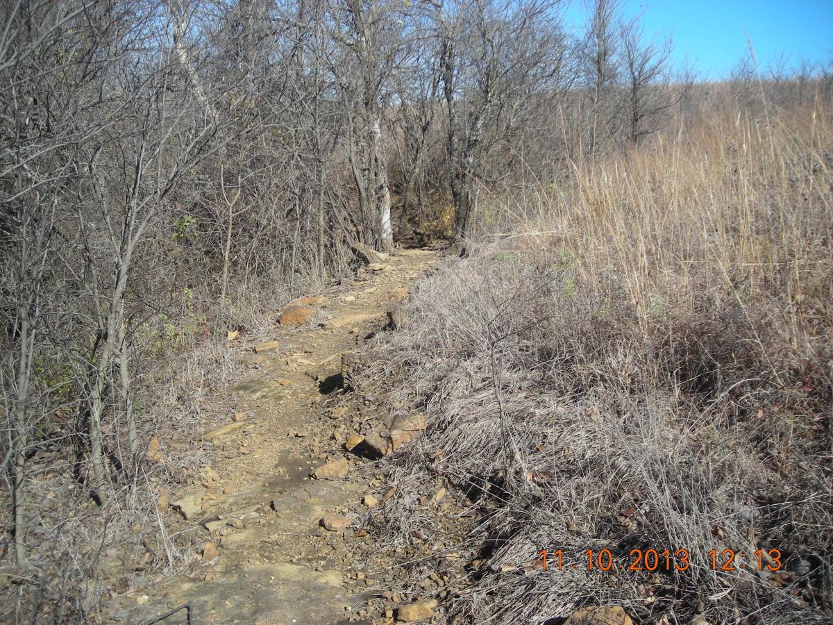 A narrow, rocky trail winding through a sparse, dry landscape with bare trees and tall grasses under a clear blue sky. Badger Creek South Trail mountain bike trail.