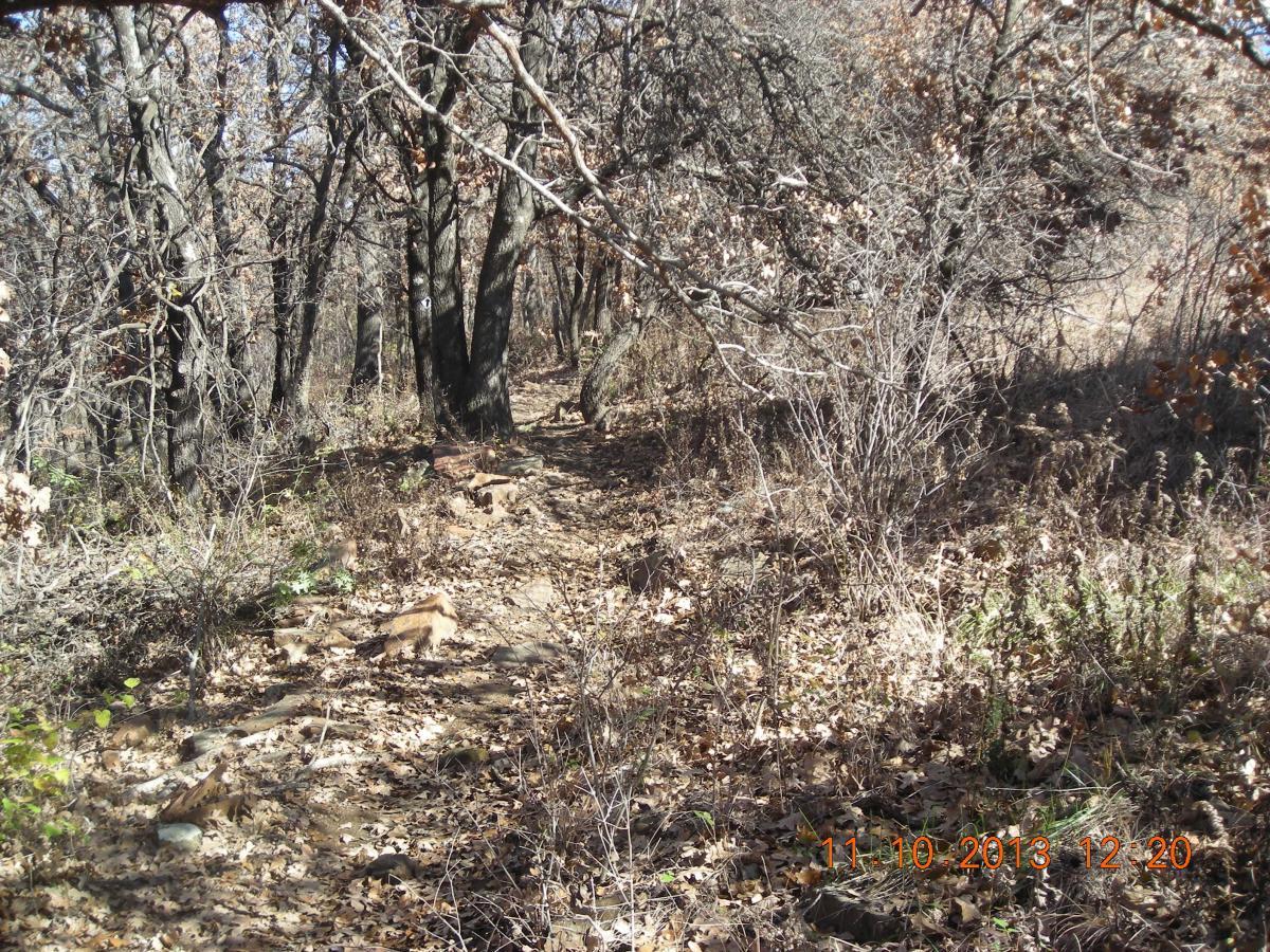 A narrow, rocky trail winds through a forest with bare trees and scattered fallen leaves, indicating late autumn. The path is surrounded by underbrush and sparse vegetation, with the sunlight filtering through the branches above. Badger Creek South Trail mountain bike trail.