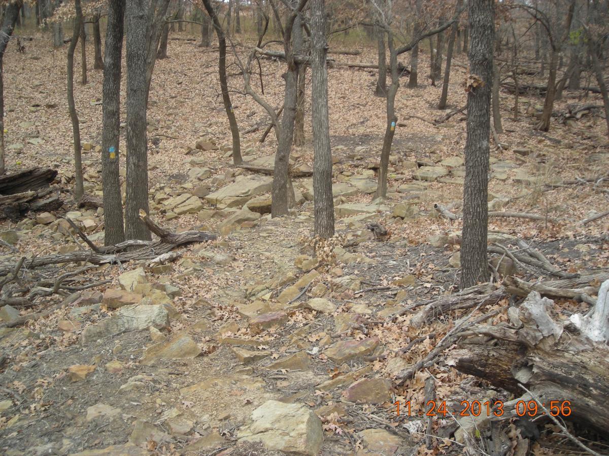 A rocky, wooded path lined with trees and scattered dry leaves, leading through a forested area. The ground is uneven with exposed rocks, and there are fallen branches among the foliage, suggesting a natural, rustic environment. Chautauqua Hills Trail mountain bike trail.