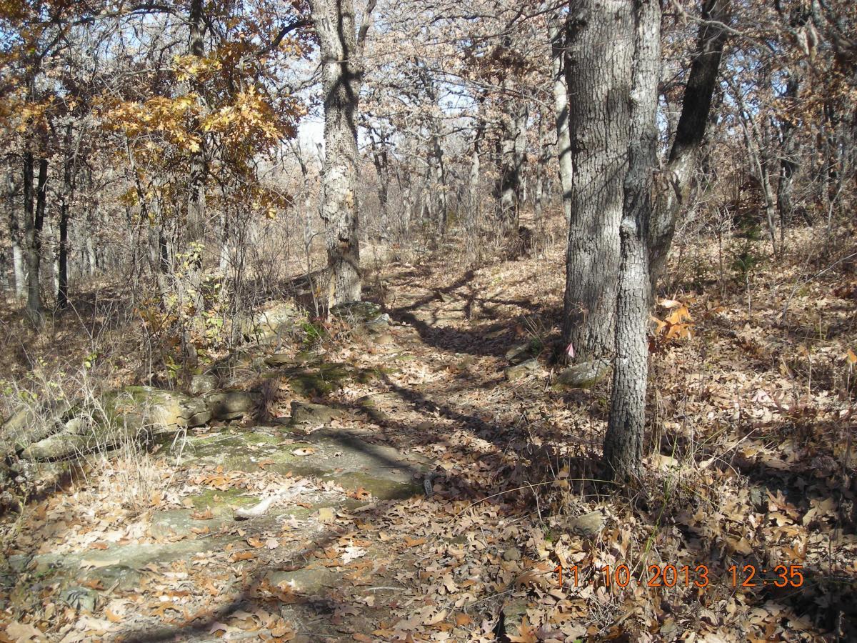 A wooded path winding through a forest, with autumn leaves scattered on the ground and trees in various stages of shedding their foliage. The scene captures a tranquil, natural setting with sunlight filtering through the branches, illuminating the earthy tones of the landscape. Badger Creek South Trail mountain bike trail.