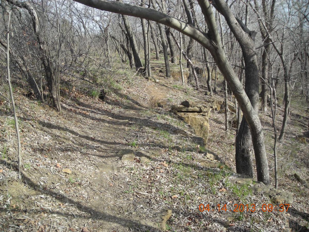 A narrow dirt path winding through a wooded area with bare trees and scattered rocks, showing signs of early spring growth among fallen leaves. Badger Creek North Trail mountain bike trail.