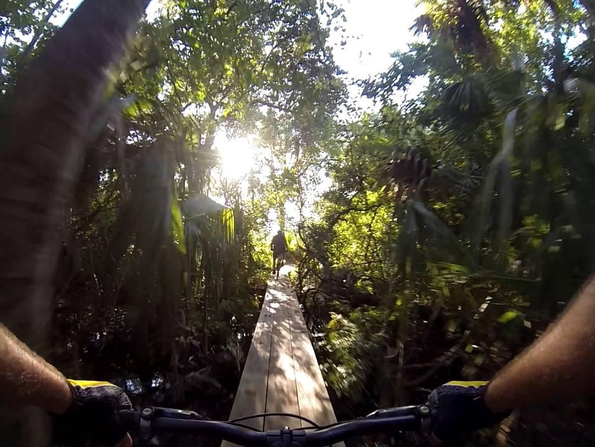 A narrow wooden path winding through a lush, green forest, with sunlight filtering through the trees. The perspective shows a cyclist's arms gripping the handlebars, emphasizing the sense of movement and adventure in a natural environment. Malabar Scrub Sanctuary mountain bike trail.