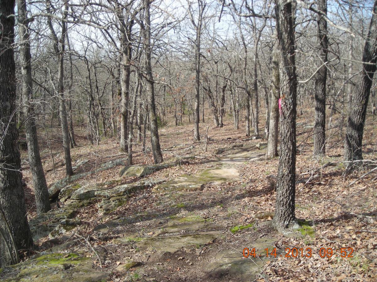 A wooded area featuring bare trees and rocky terrain, with scattered leaves on the ground. The scene is quiet and natural, highlighting a pathway that winds through the forest. Badger Creek North Trail mountain bike trail.