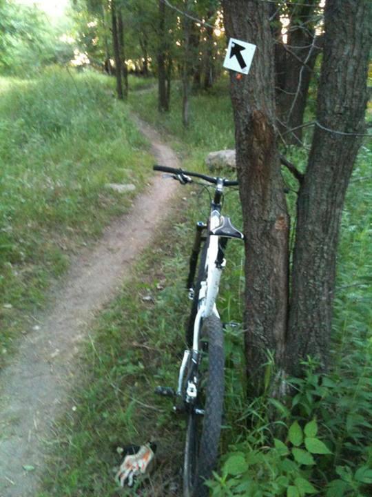 A mountain bike resting against a tree near a dirt trail surrounded by greenery, with a directional sign pointing left. Air Capital Memorial Park mountain bike trail.