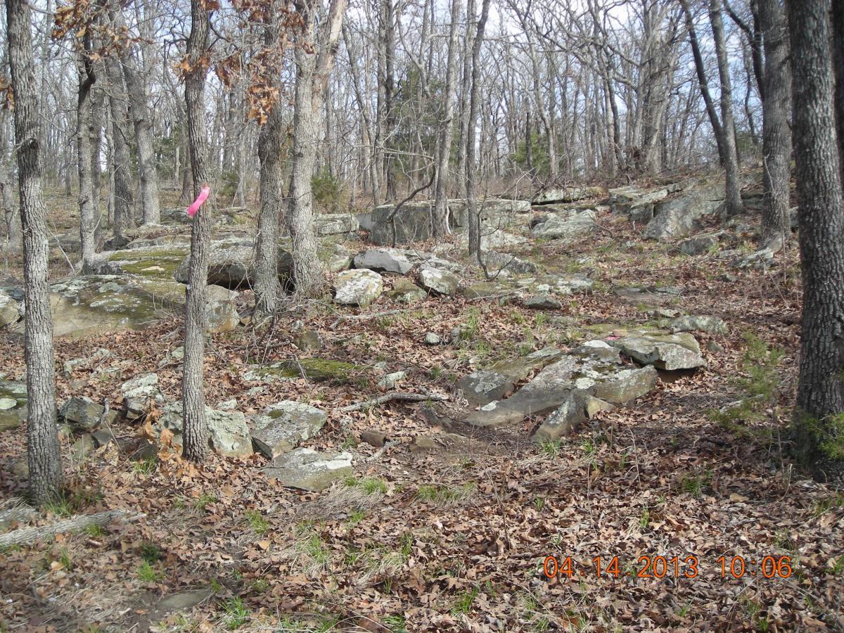 A forest scene featuring bare trees and scattered rocks, with deceased leaves covering the ground. A pink marking is visible on a tree trunk, indicating a designated area or path. The image is taken during daylight, showcasing a natural, rugged landscape. Badger Creek North Trail mountain bike trail.