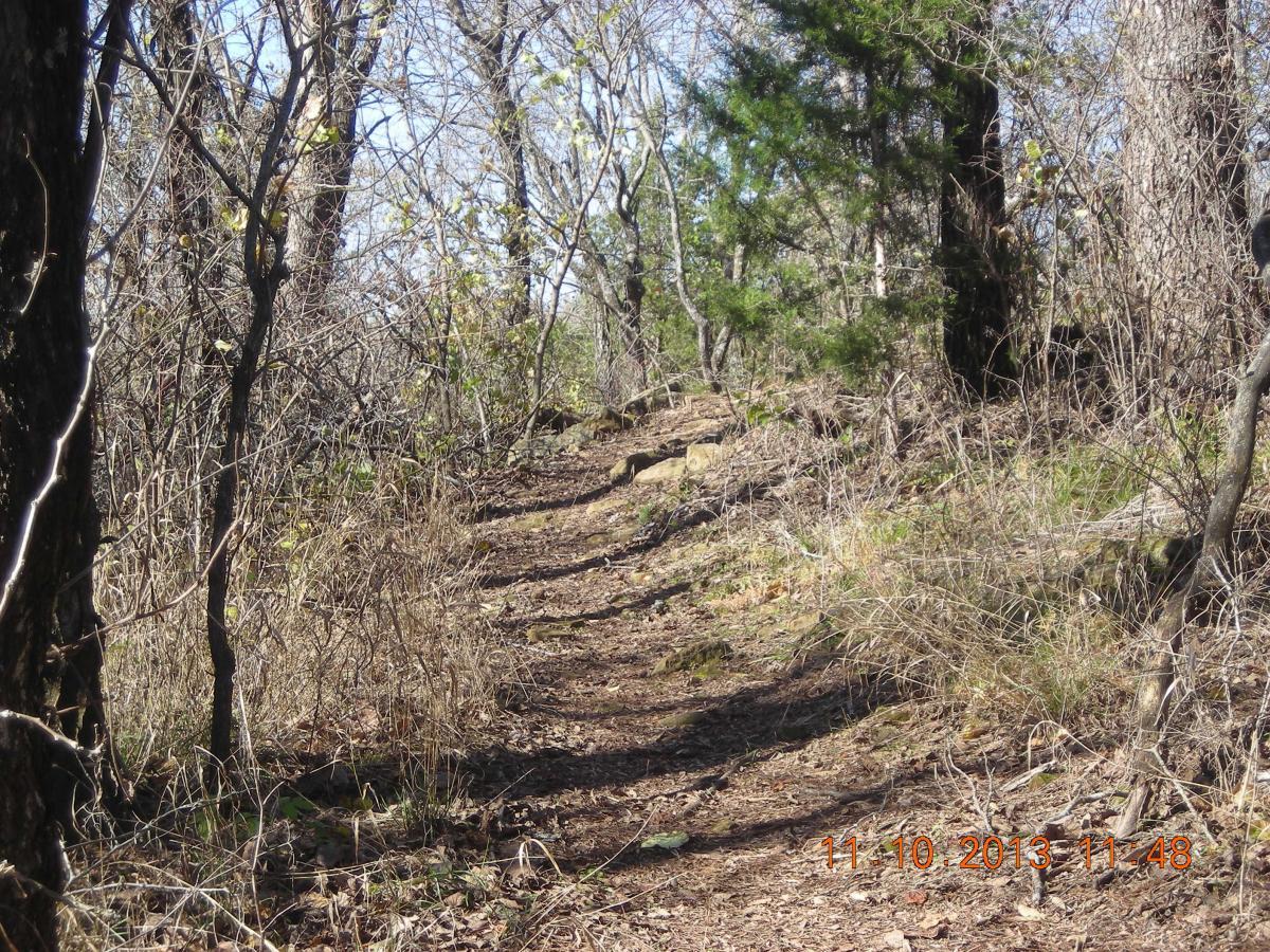 A narrow dirt trail winding through a sparse forest, lined with bare trees and underbrush. Sunlight filters through the branches, casting gentle shadows on the ground. Badger Creek North Trail mountain bike trail.